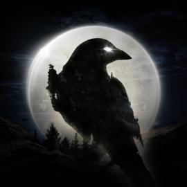 NIGHT CROWS Game Codes